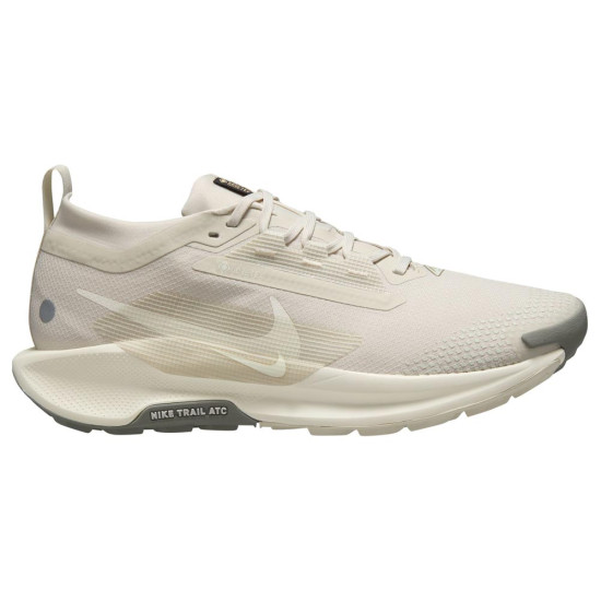 Nike Pegasus Trail 5 Gore-Tex